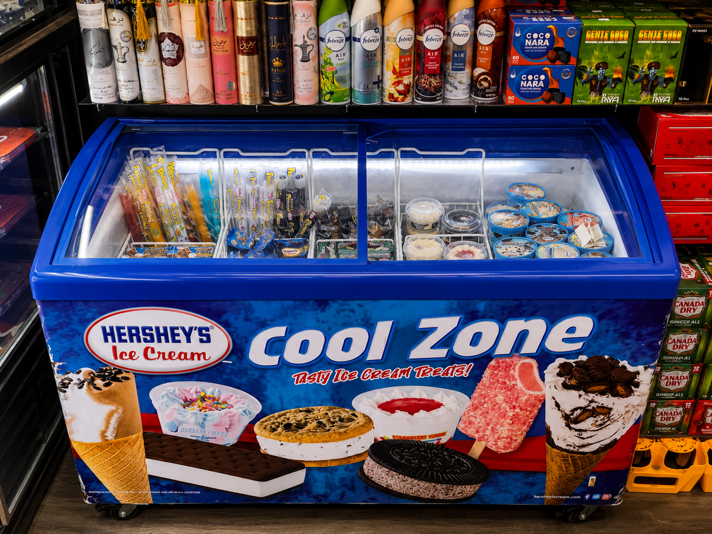Ice cream freezer filled with frozen treats
